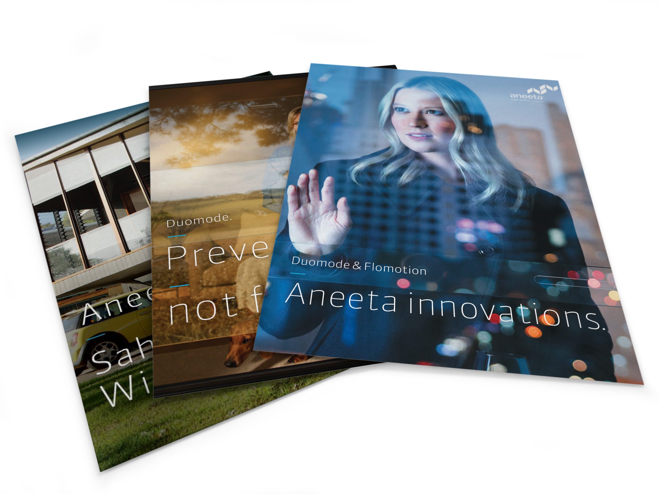 Aneeta Brochures